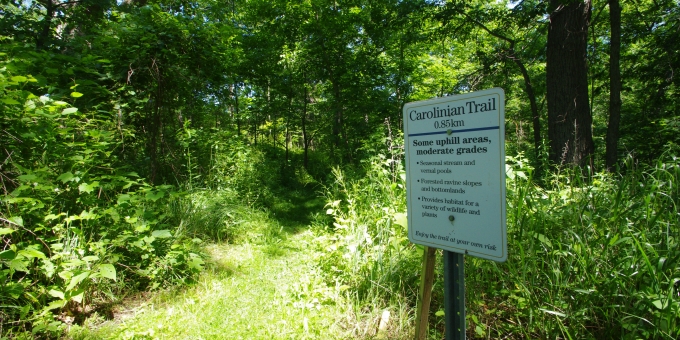 Ask For A Site Map To Help You Explore Our Site's Network Of Groomed Trails