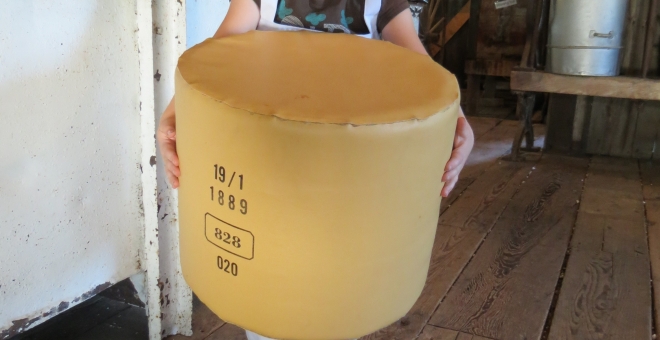 Put on an apron, grab a "90 pound" wheel of cheese and pretend you are a cheesemaker!