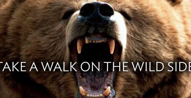 Take a Walk on the Wild Side logo