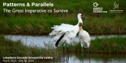 Patterns & Parallels: The Great Imperative to Survive