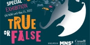 True of False? | The Fun Science Exhibition