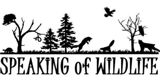 Speaking of Wildlife logo