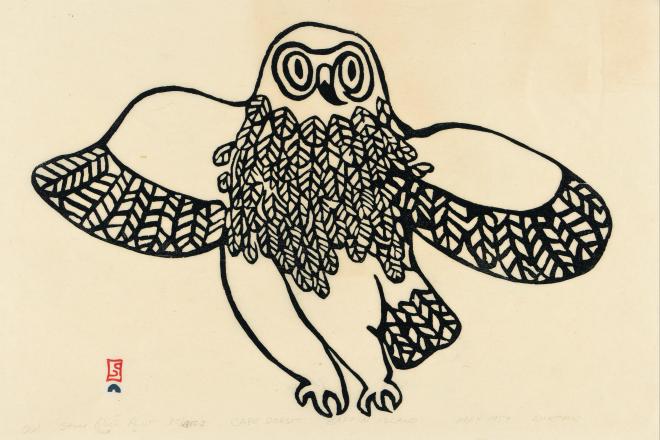Owl, 1959